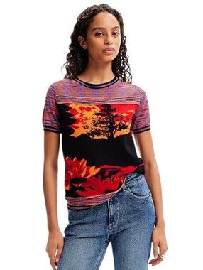 Desigual Alejiandria Knitted Landscape At Sunset Crewneck T-shirt Sweater medium